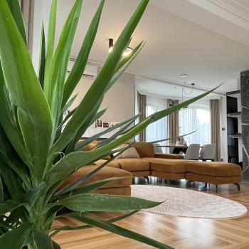 marek-d94dd51f1781201182658